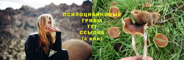 прущая мука Абинск